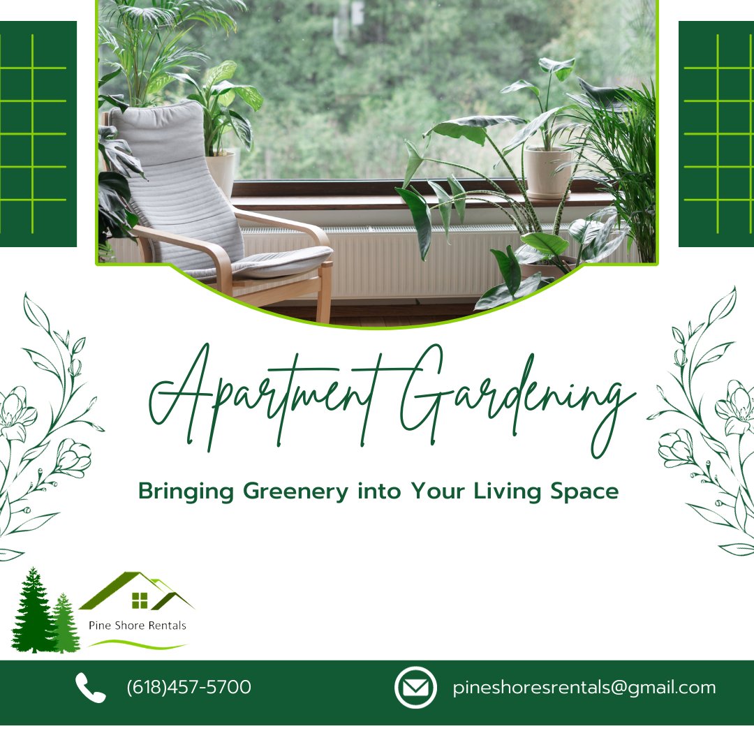 Pine Shores Rentals (@pineshorerental) on Twitter photo Transform your living space with apartment gardening!
For inquiries you can call:
618-457-5700
pineshorerentals@gmail.com
pineshoresrentals.com
#ApartmentGardening #GreenLiving #IndoorOasis #Pineshoresrentals Transform your living space with apartment gardening!
For inquiries you can call:
618-457-5700
pineshorerentals@gmail.com
pineshoresrentals.com
#ApartmentGardening #GreenLiving #IndoorOasis #Pineshoresrentals