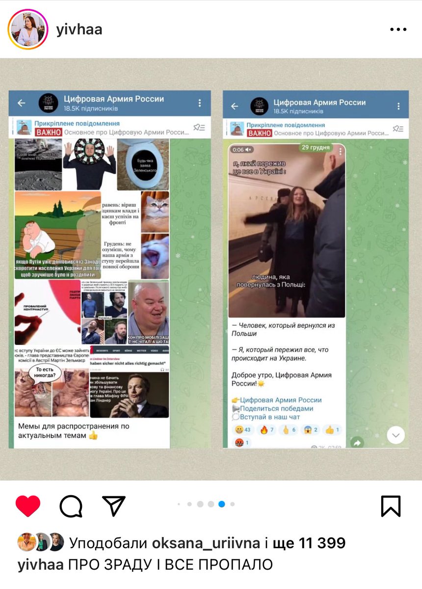 Dina Veselkova tweet media