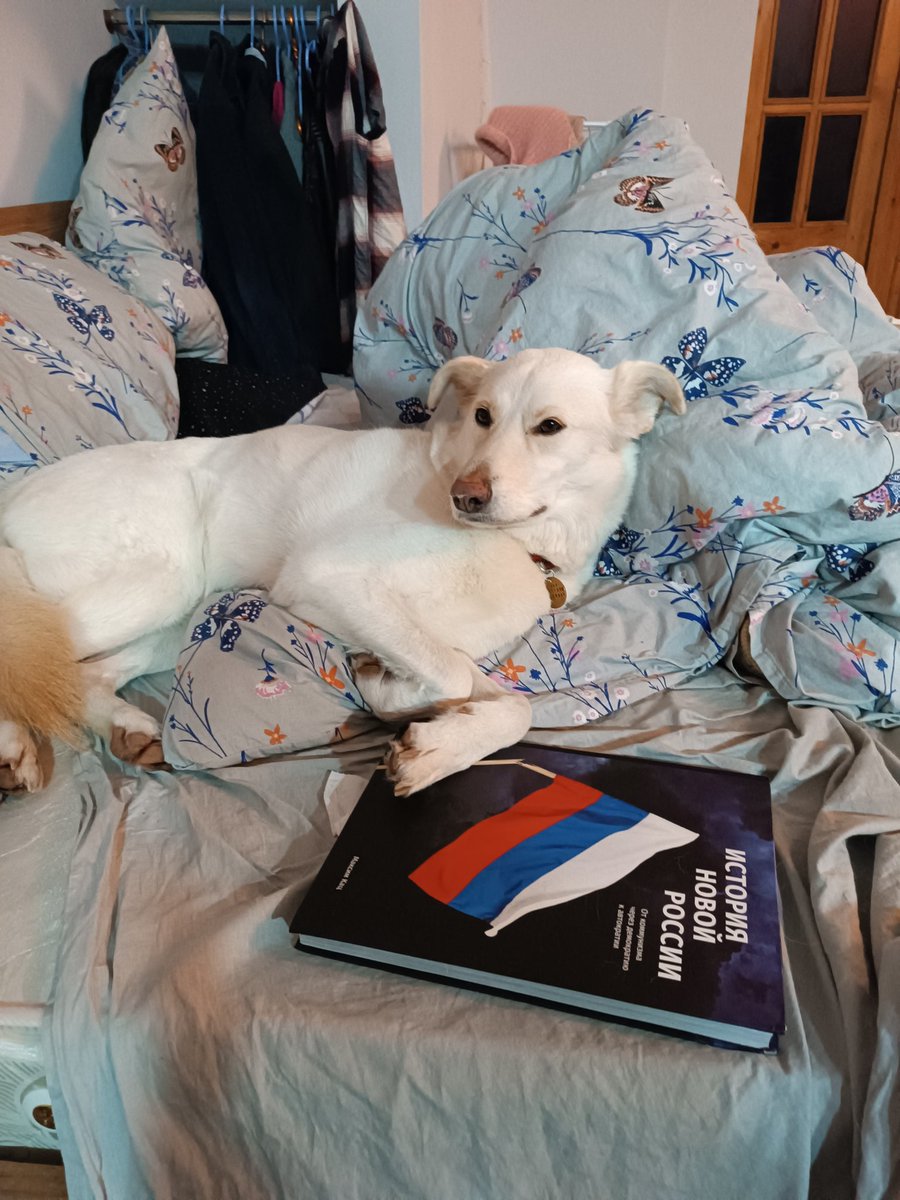 Кто-то скажет: "собака", я скажу: "слоняра"