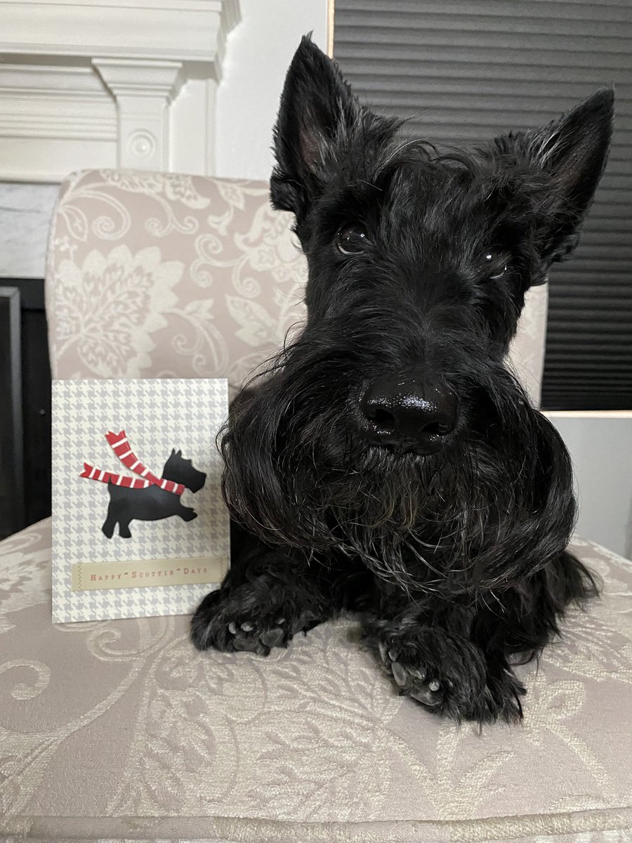 Bon Scott says thank you to <a href="/soul_joyous/">JoyousSoul</a> for the Christmas card! ❤️