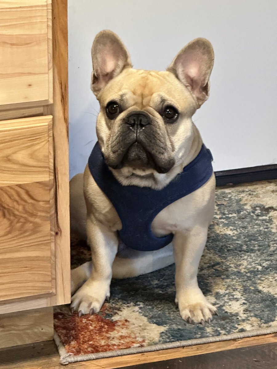 <a href="/thanightskyy03/">TᕼᗩᑎIGᕼTᔕKYY03 💋</a> My Franklin