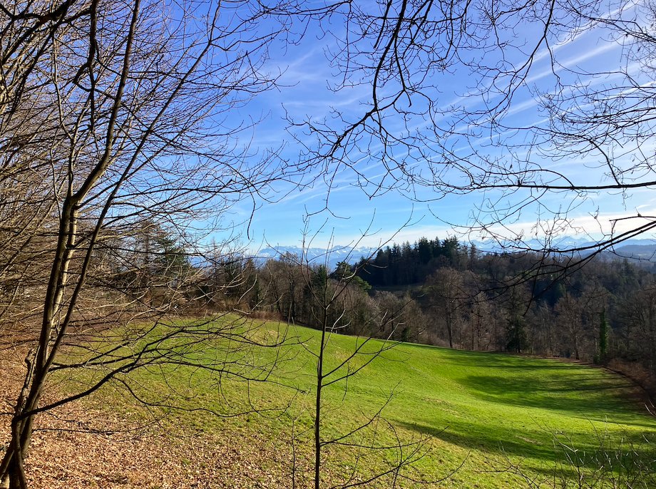 Happy new year! Started the year with a hike in the Canton of Zurich in Switzerland