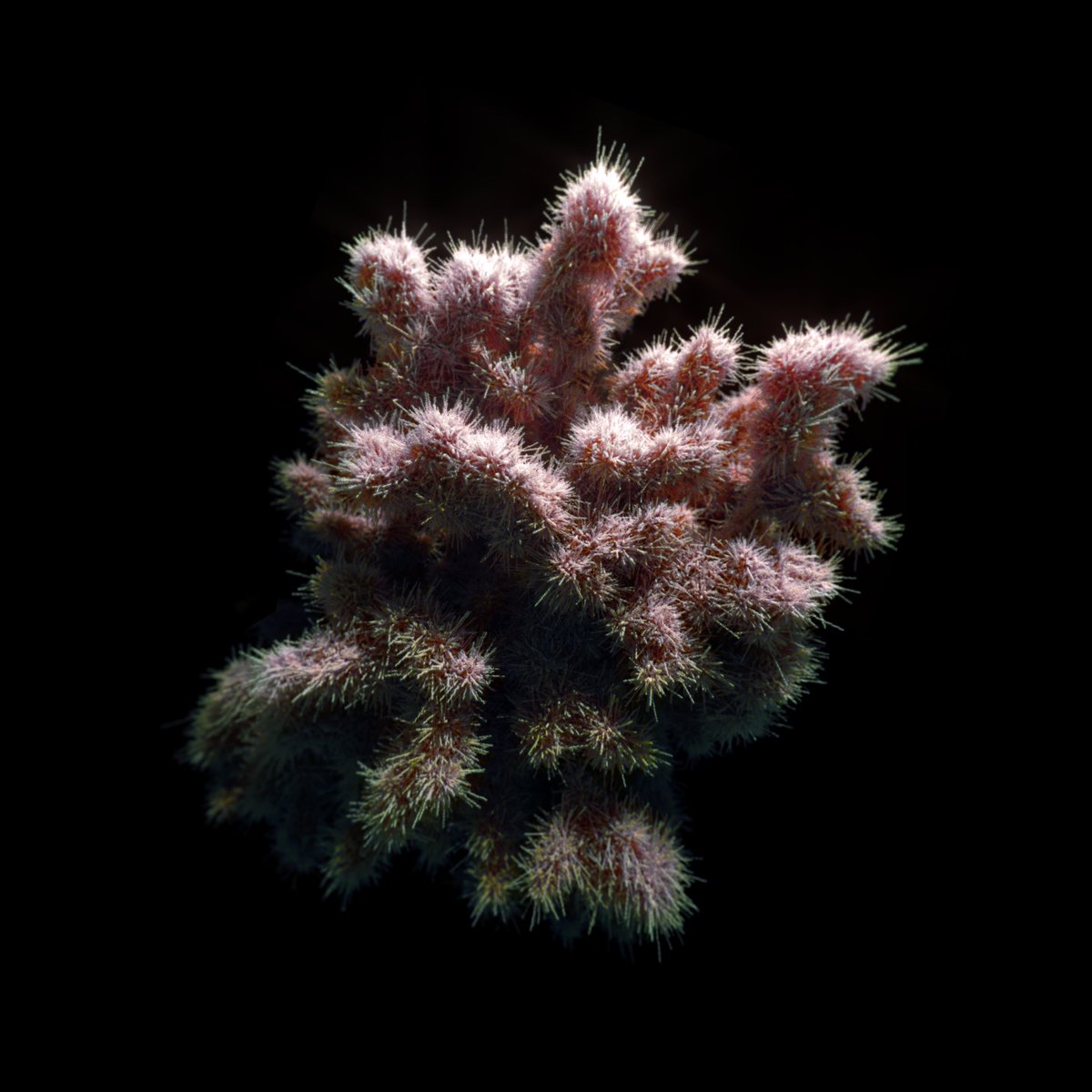 #genuary1 - particles, lots of them.
playing with some outputs from <a href="/arsiliath/">arsiliath</a>'s particle system.