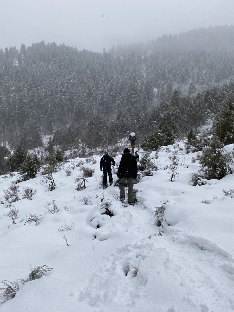 USU Campus Rec tweet media