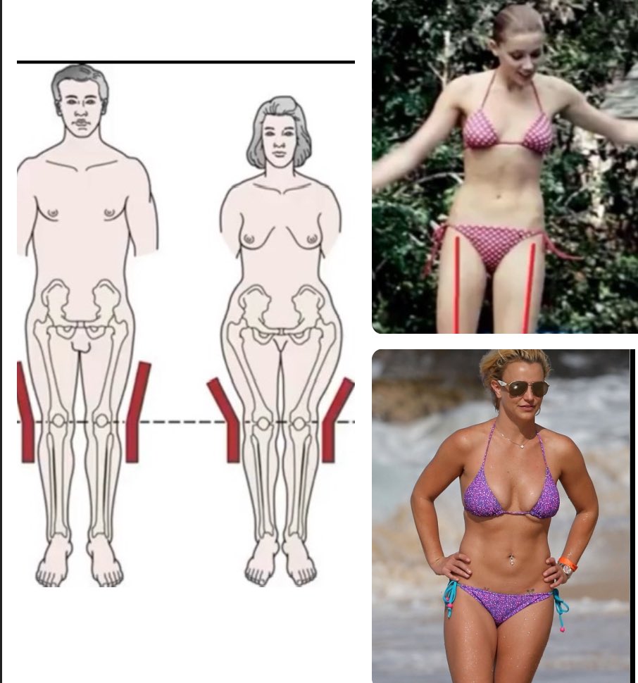 Amelia Bee 🌹 tweet media