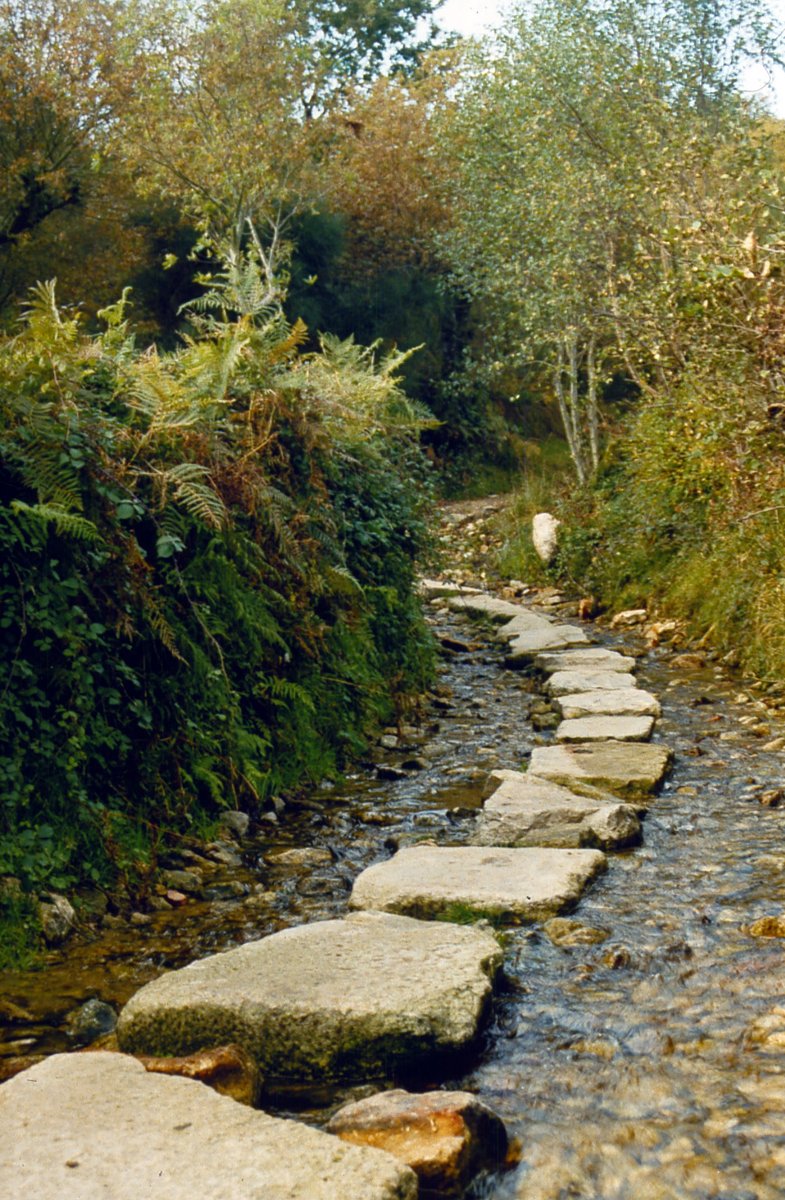 Podemitas Mosenses tweet media