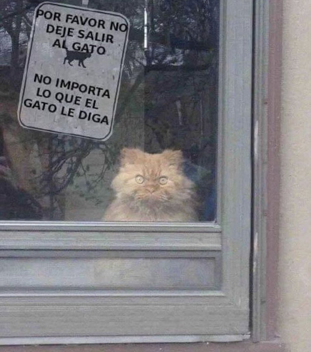 EnchiladaSlight's tweet image. Con esa cara, hasta yo le tomaría la palabra al cartel