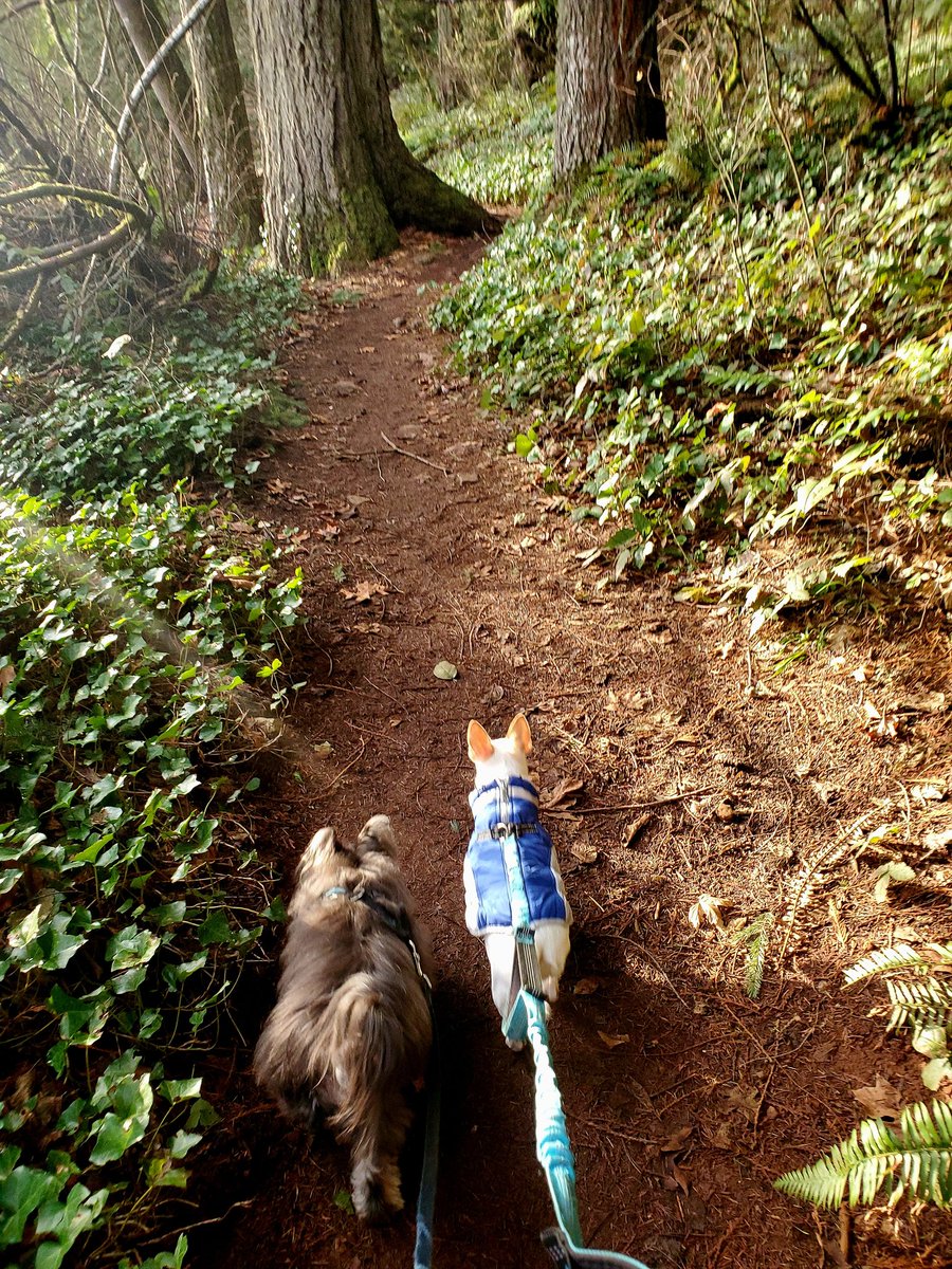 Alisa_Haus's tweet image. Happy New Year #FirstDayofTheYear #hiking