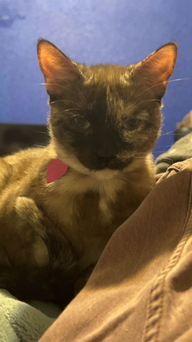 my daughter is so handsome https://t.co/F5r5GfQeZv