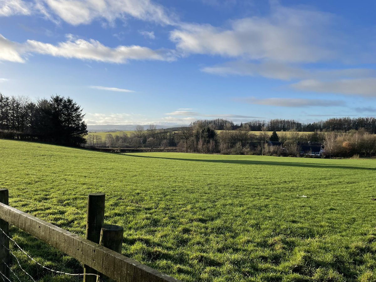 Stuart Graham tweet media