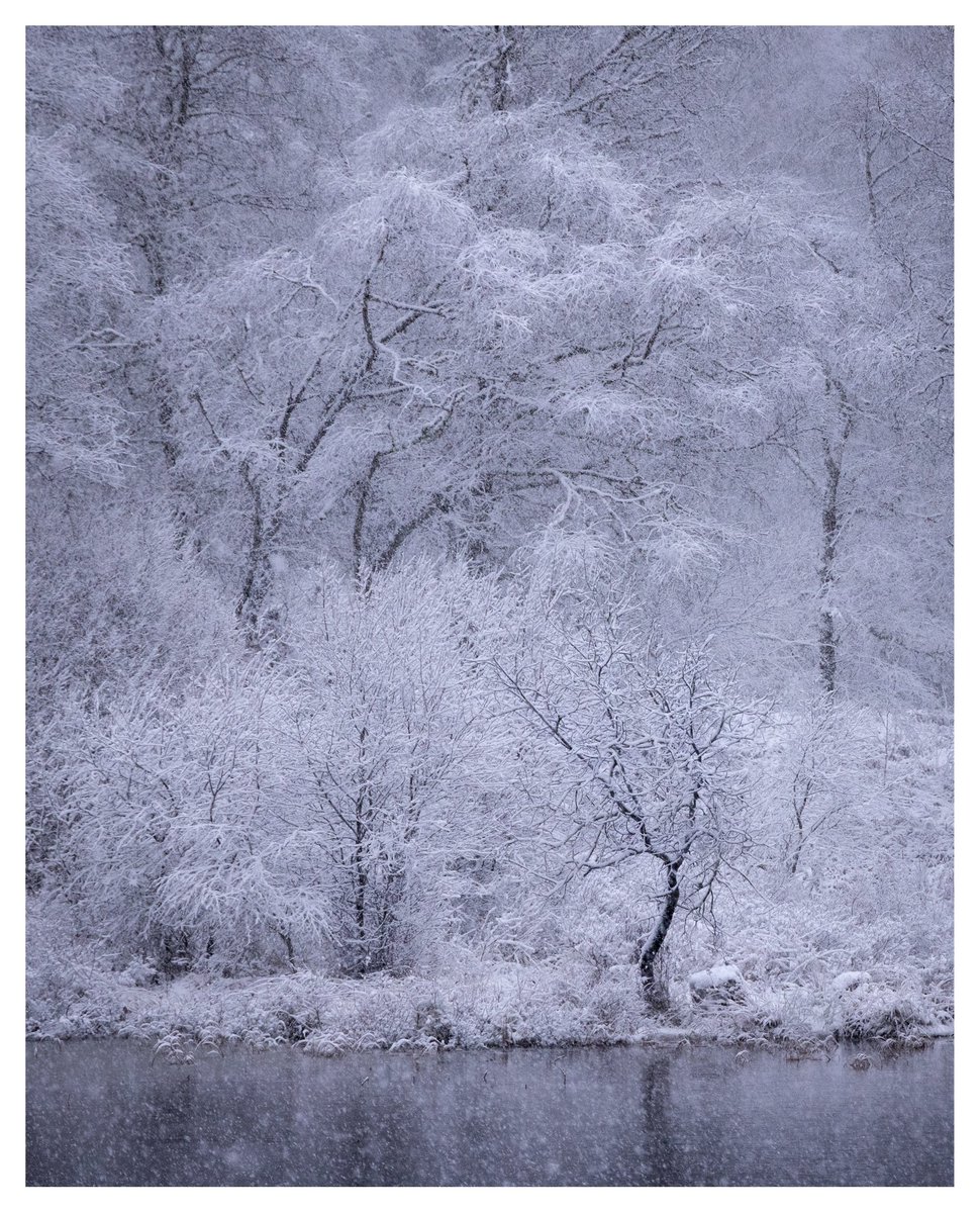 ‘NARNIAN VIEW’ A last winter scene from 2024 from a brief snow shower on Saturday. #fsprintmonday #wexmondays #stormhour #sharemondays2023 #sharemondays2024