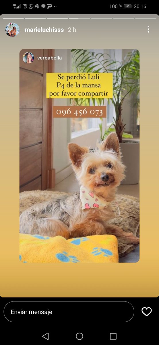 Por favor, avisar si se enteran de algo. Se la robaron de la puerta de su casa