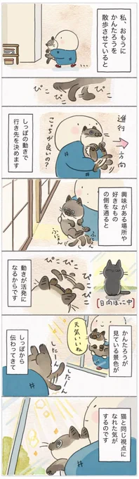 大好きな抱っこ散歩の道標。しっぽが伝えてくれるたくさんのこと【連載】ねこ連れ草 300話め|ねこのきもちWEB MAGAZINE https://t.co/jX3nCRSU8x 