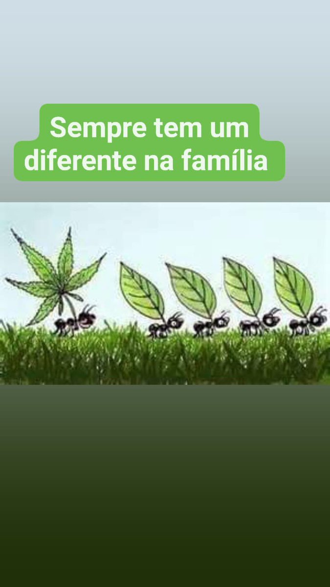 Chapo Do Chong (@chapodochong) on Twitter photo 