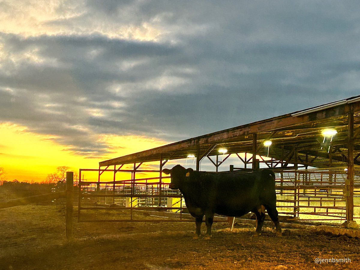 🎉🎉🎉Happy New Year <a href="/spann/">James Spann</a> !!!
#farmlifebestlife