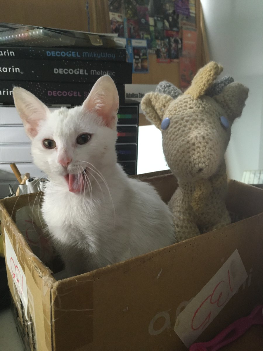 Murphysplush's tweet photo. I'm traveling onwards to #2024!!! #Happynewyear! And meet my new companion! Her name is Konidela, Koni for short, and she's my mom's newest kitten!! #murphysplushtrips #murphysplush #Cats #catsinboxes #Catsofinstagram #amigurumi #Sillycats #Whitecats #kittens https://t.co/7qiJVLePcM