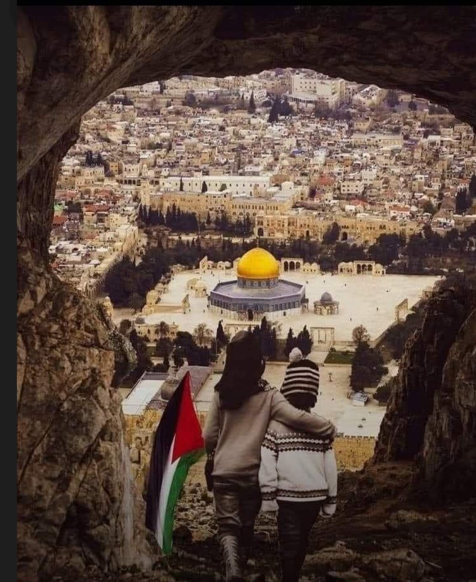 katehafortaeguk's tweet photo. DON'T STOP TALKING ABOUT PALESTINE

FREE PALESTINE FROM ISRAEL 
END THE OCCUPATION NOW
PERMANENT CEASEFIRE NOW
END THE GENOCIDE OF PALESTINE
#IsraelIsATerroristState
#EndTheOccupation 
#ceasefireNowPermanently 
#FreePalestine https://t.co/0DV80XmlSb