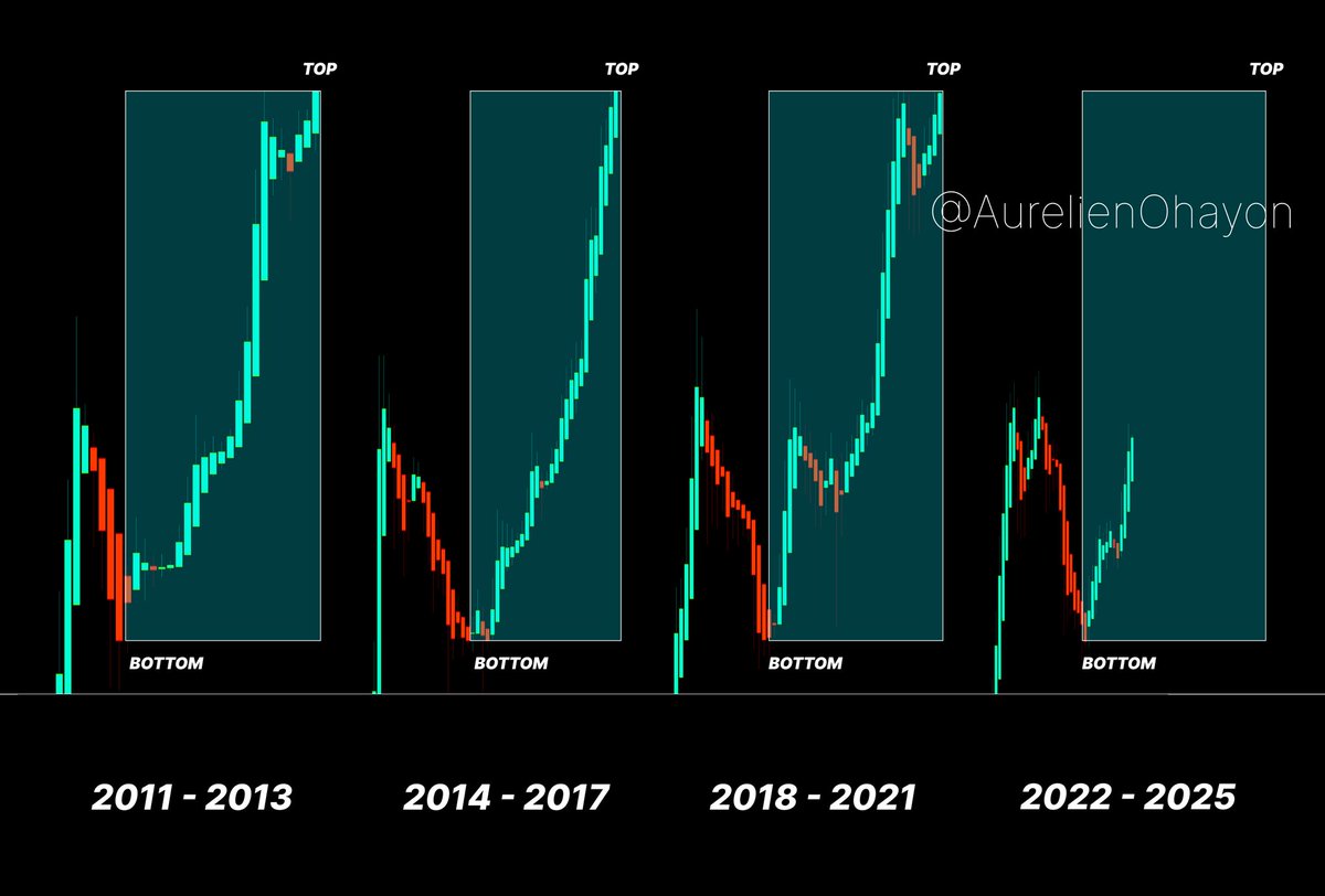 Anita Buonerba tweet media