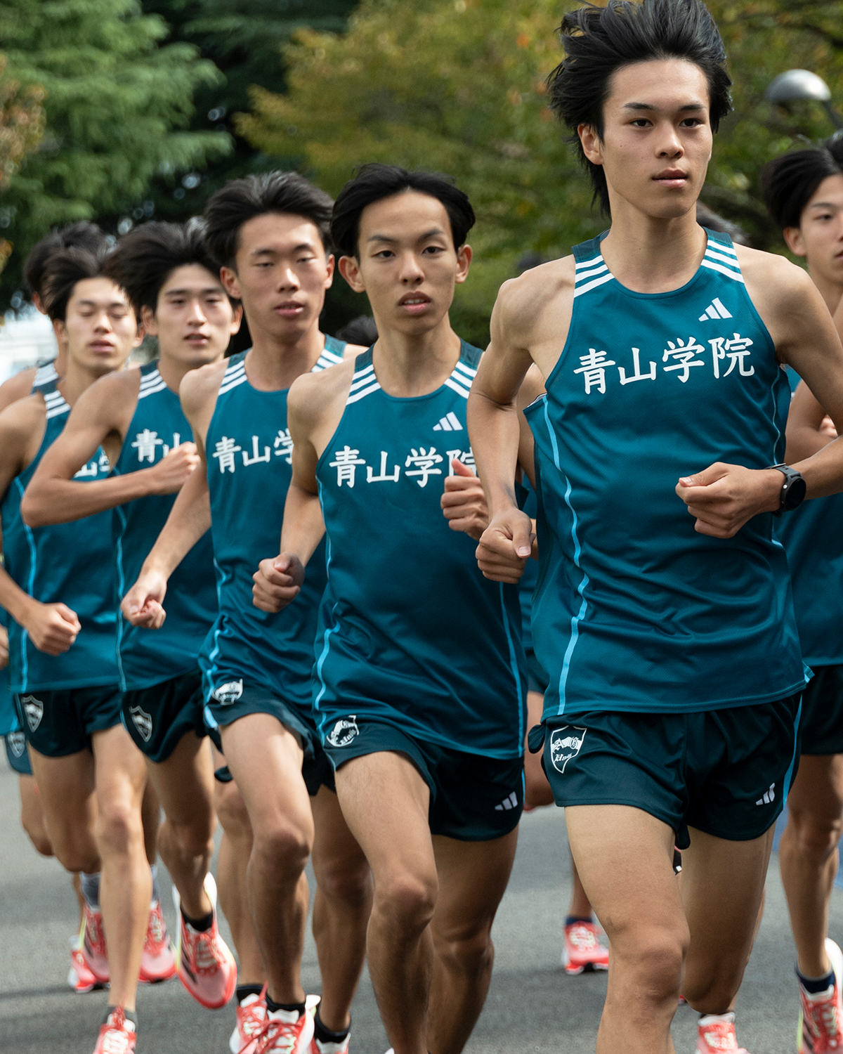 adidas 青山学院大学 駅伝 ジャージ アディダス × 大学駅伝特集2024｜adidas 公式オンラインショップ
