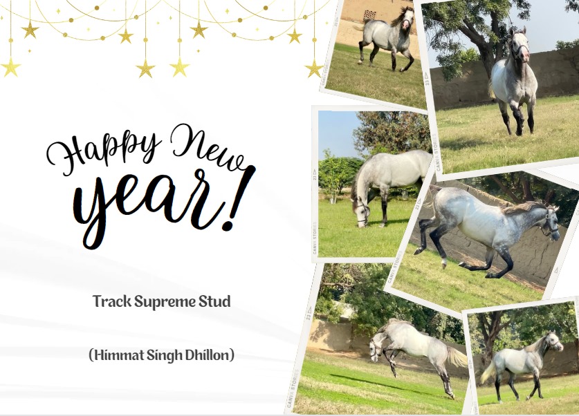 HIMMATSINGHDHIL's tweet photo. Happy New Year https://t.co/VlSpoxlMWL