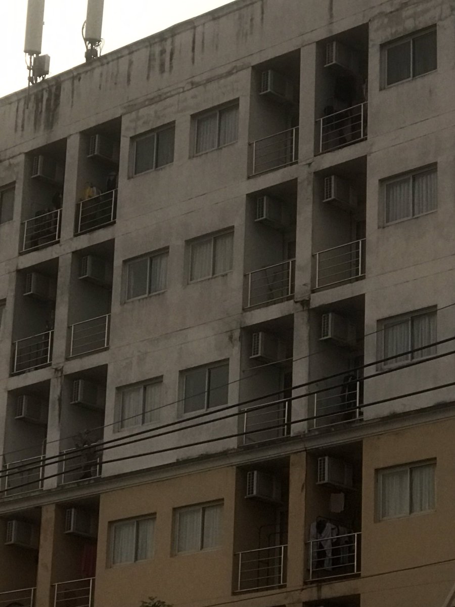 นกที่ตื่นมาถ่ายฟุตเทจตอนเช้าได้คือนกที่ยังไม่ได้นอนเกิน 3 ชั่วโมงมาสี่วันติด