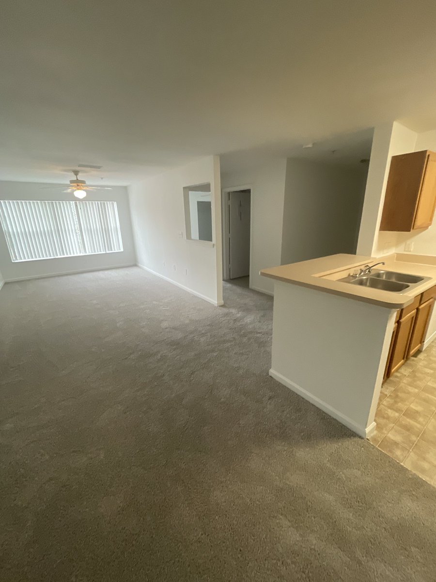 shittypockets's tweet photo. new year new beginnings 🏠 https://t.co/NsZKJHq9yy