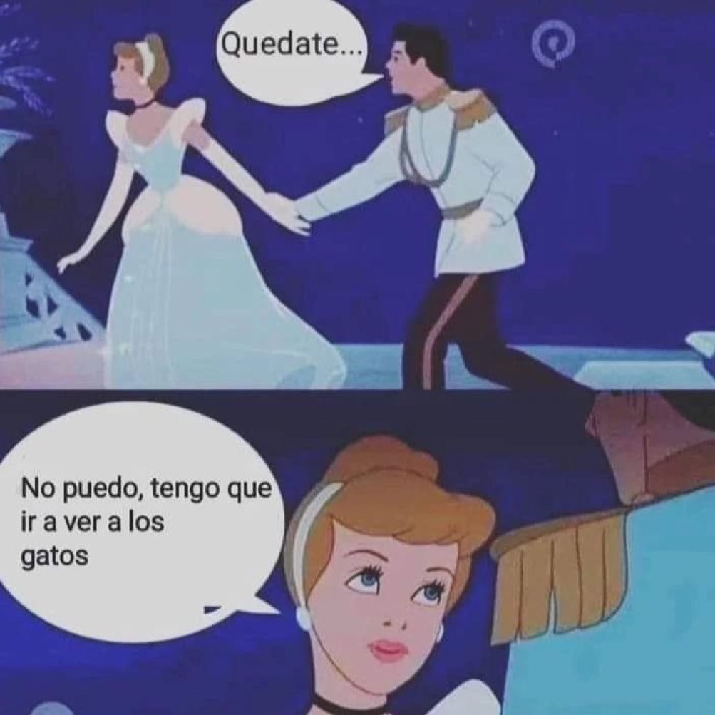 Rolita (@_onerolita) on Twitter photo 