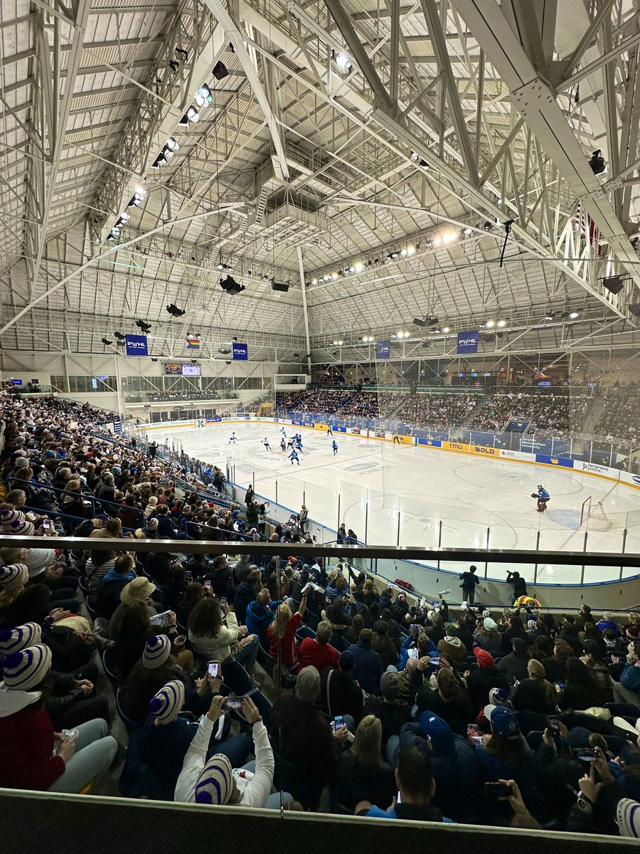 Alexis Miller tweet media