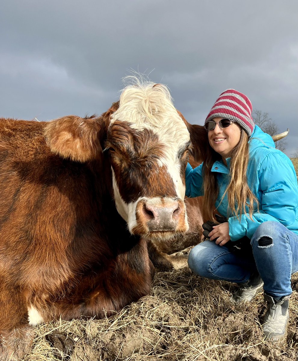 Indraloka Animal Sanctuary tweet media