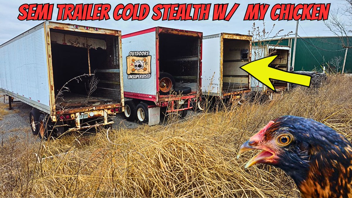 OUnsupervised's tweet image. youtu.be/Pm-cuvDAkU8
Tried another stealth w/ my chicken Paula.  This night got down to 34 degrees, we slept in an abandoned semi trailer.  Made a chickenless meal while at it &amp;amp; it was delish.  #SemiTrailer #Semi #StealthCamping #Stealth #StealthCamp #WildCamping #Paula