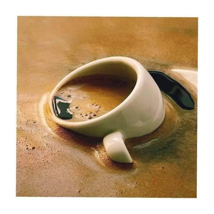 Samreen Afridi tweet media