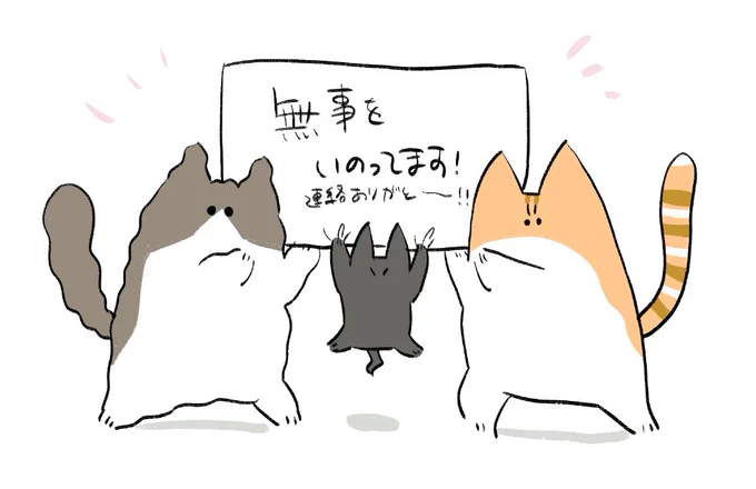 石川県在住のフォロワーさん!大変な時間を過ごしてるだろうに私のツイートに反応してマロから状況を教えてくれてありがと～!!フォロワーさんご夫婦も猫ちゃんもご両親も皆さんの無事を祈ってます!!早く通常の生活に戻りますように・・・