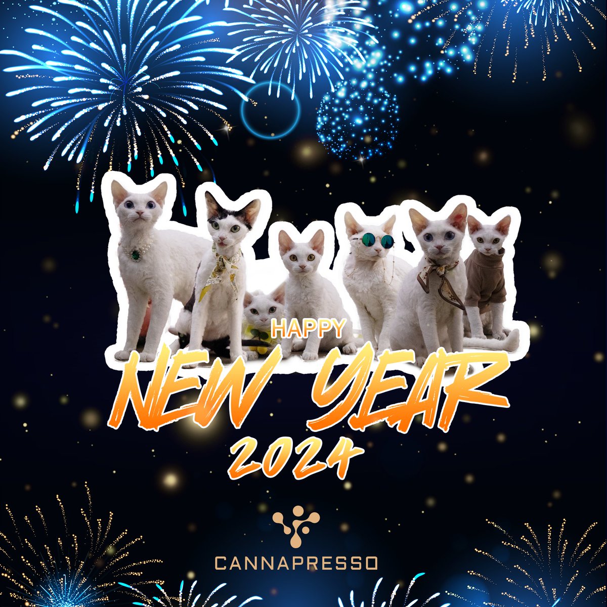 cannapresso3's tweet photo. Happy New Year！#cannapresso #btob #happynewyear2024 #disposable https://t.co/OwsJPR54Br