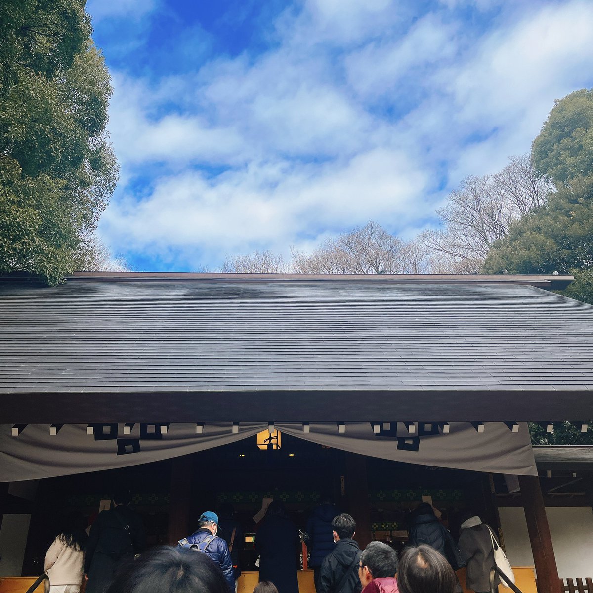 asaaaaamaaaaai's tweet photo. 年が明けて早くも色んな話題を聞くわけですが、今年も人生を楽しむぞ、と思っております。

近くの神社に行ったら、梅が咲いてた。
良い年にするぞ🌸 https://t.co/tiKsdXBTa3