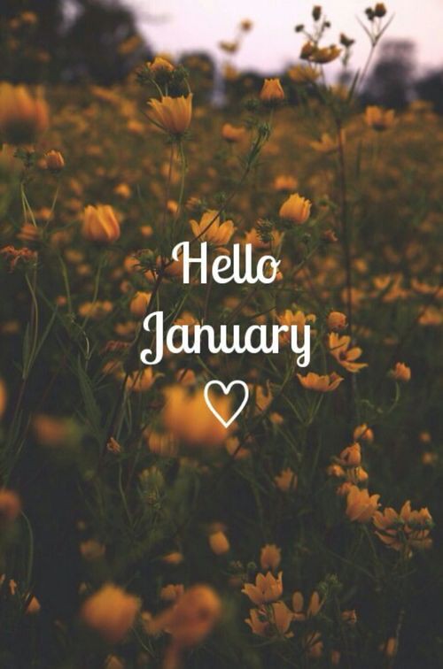 DeeDeeDiamond7's tweet image. 🌟#hellojanuary 🌟
✨️#2024✨️