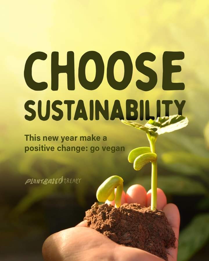 Los Angeles Animal Save tweet media