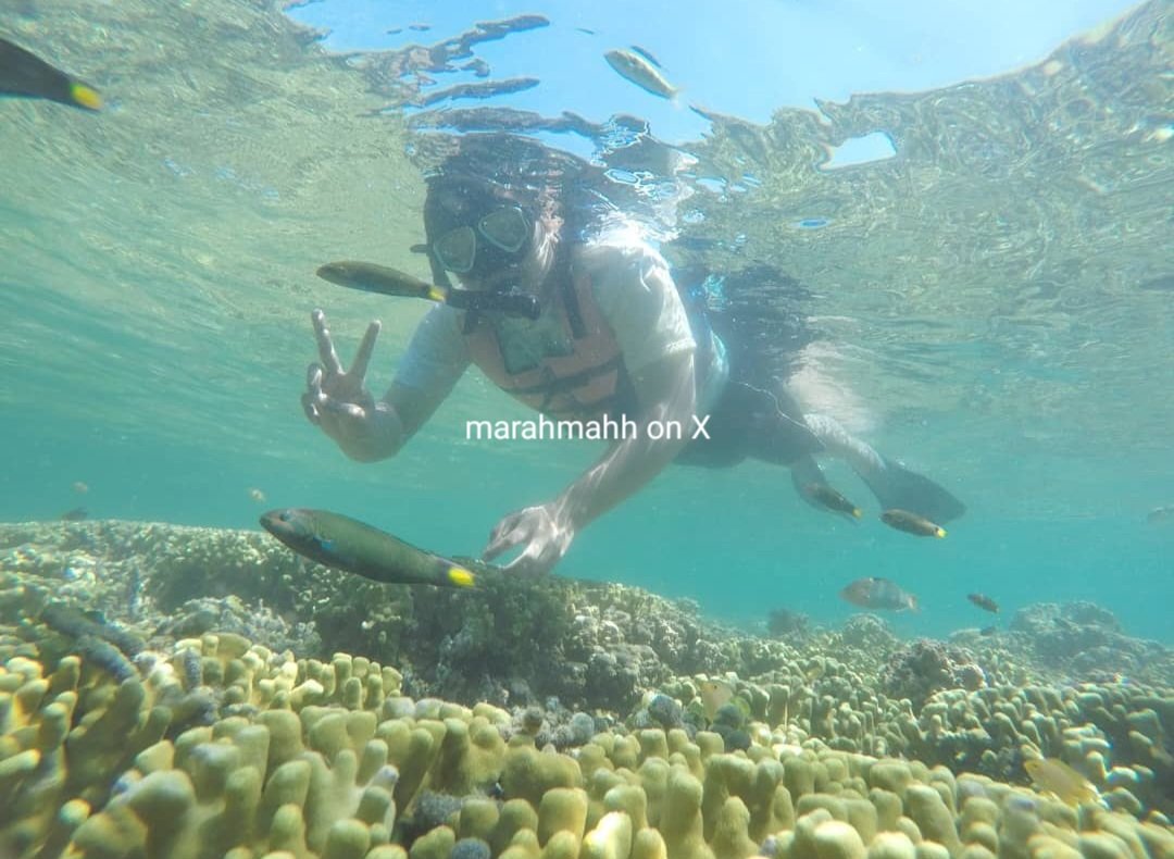 marahmahh's tweet photo. Liburan karena banyak duit ❌️ (Aamiin Yaa Allah)
Liburan karena dapet promo ✅️

Sebelum pandemi, suami eyke pernah dapet promo kereta via website KAI dari BDO-BWI via SBY PP diskon 60%. 🥳

Tempat yang kami kunjungi diantaranya :
🤿 Snorkeling di Pulau Menjangan, nyebrangnya dari Pantai Watudodol sambil liat matahari terbit.
🌵 Menjelajahi Africa van Java di Taman Nasional Baluran.
🌲 Eksplor magical forest di De Djawatan.
🌅 Menikmati saat-saat matahari terbenam di Pantai Pulau Merah.

Semoga ada rezekinya bisa eksplor Banyuwangi lagi. Aamiin Yaa Allah.

Manteman yang mau eksplor Banyuwangi, berikut kurangkum list hotel dengan rating terbaik yaa. Silahkan disimpan apabila diperlukan!

⏬️⏬️⏬️
