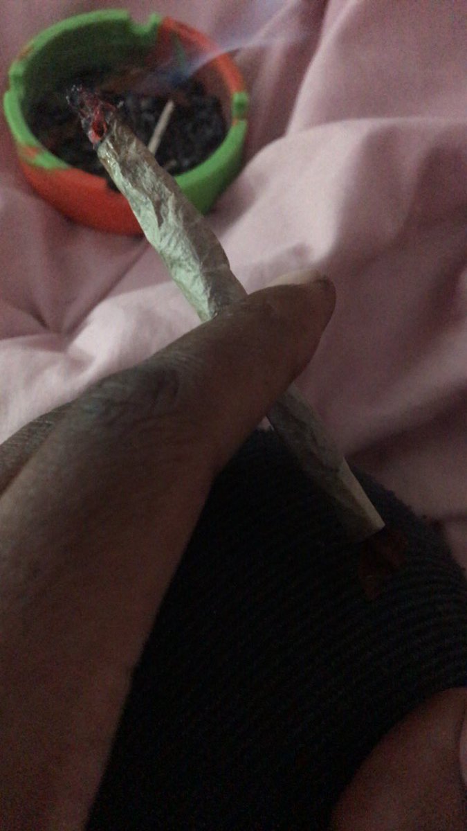 Pothead305 tweet media