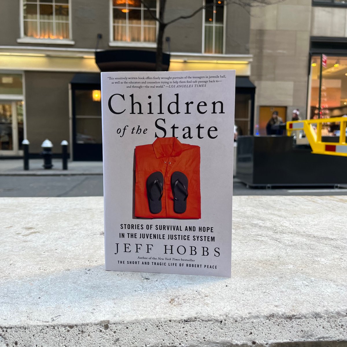 'Fluent and precise, with an eye for rich detail.' @nytimesbooks Children of the State by @jeffhobbs42, author of #TheShortAndTragicLifeOfRobertPeace is now available in paperback! 'Finely wrought portraits of the teenagers in juvenile hall.' @latimes spr.ly/6014Rgr4q
