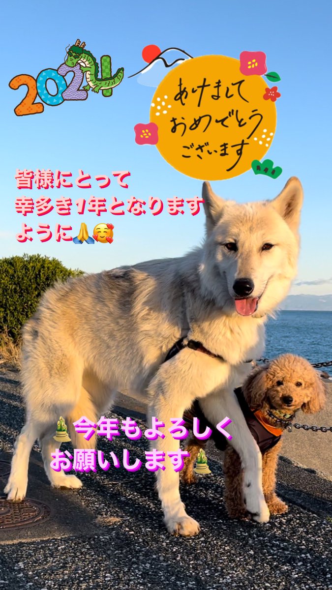 gomelien's tweet photo. 🎍💖明けましておめでとう御座います💖🎍

旧年中は色々な方達も出会い、学びのある年となり、ご縁のあった皆様に感謝いたします🙏

本年も良き出会いと成長の年となりますように🙏💕
また皆様の健康とご多幸を心よりお祈りいたします🥰

今年もよろしくお願いいたします😊 https://t.co/hSqesfmXFU