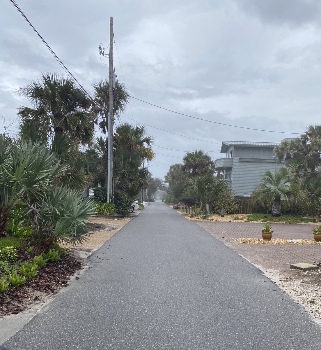 lucyonthefly's tweet photo. I call this collection of photos  “florida in december” https://t.co/3EVWRIQHCT
