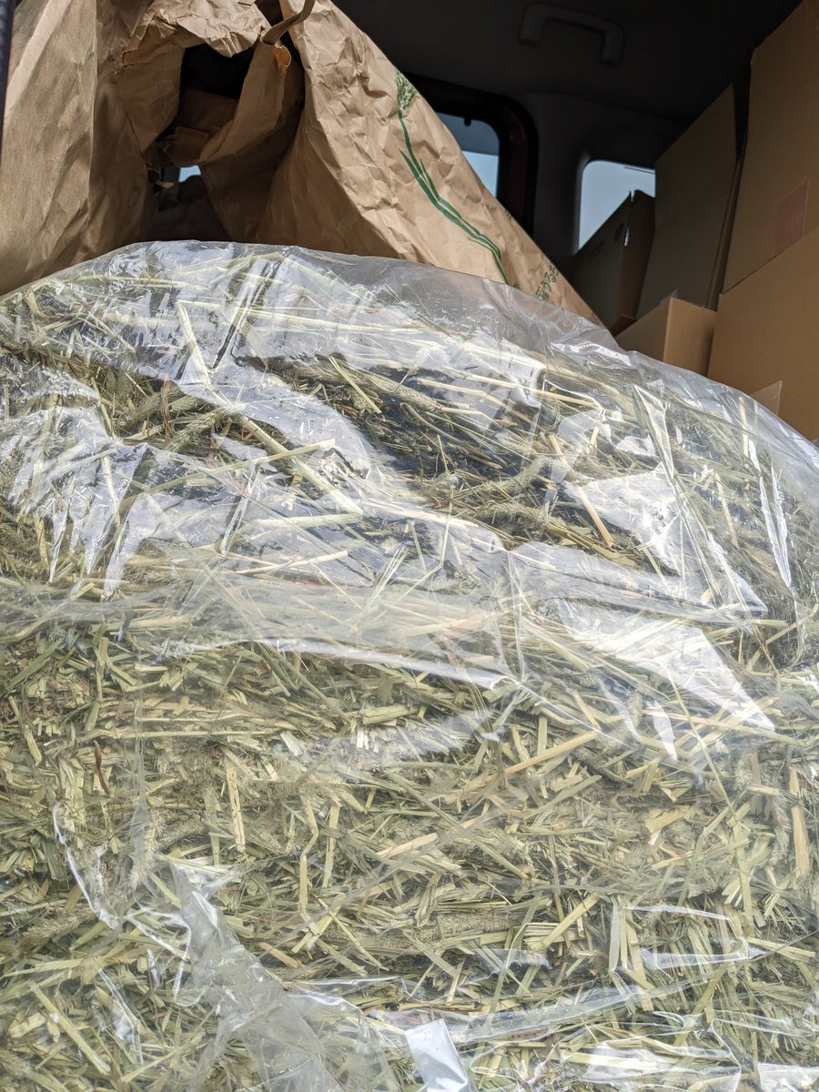 '
🔴拡散希望です🔴

この度の地震による災害で
被災されました皆様に
心よりお見舞い申しあげます

ペレットやシード、常備薬
人間用の保存食を詰め込める
るだけ積んで富山へ向かって
います

現地にいるスタッフと
連携し、受け入れ態勢も
整いました(もちろん無料です)

🔴愛鳥さんの預かり先で