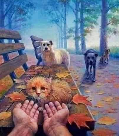 Guadalupe Ramirez tweet media