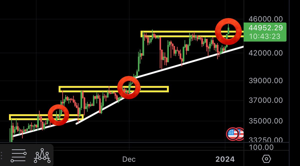 Joe Public tweet media