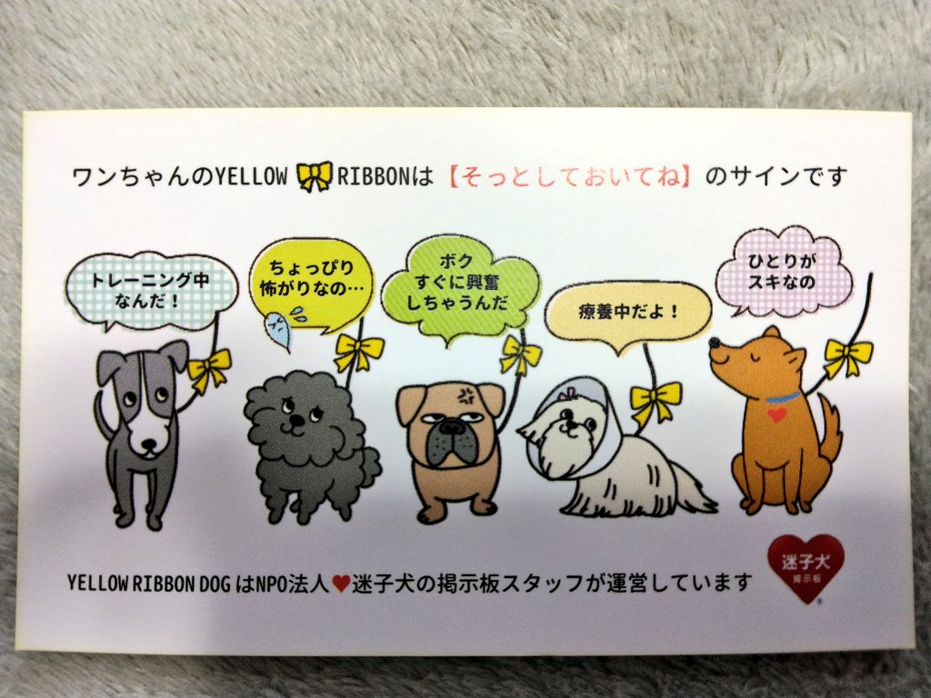 noripoko1150's tweet photo. 妻は微力ながら、イエローリボンドッグや迷子犬掲示板を広める努力をしております。
私も今年は協力するど🐗💨
#イエローリボンドッグ
#迷子犬の掲示板 https://t.co/DDDT0vbFXe