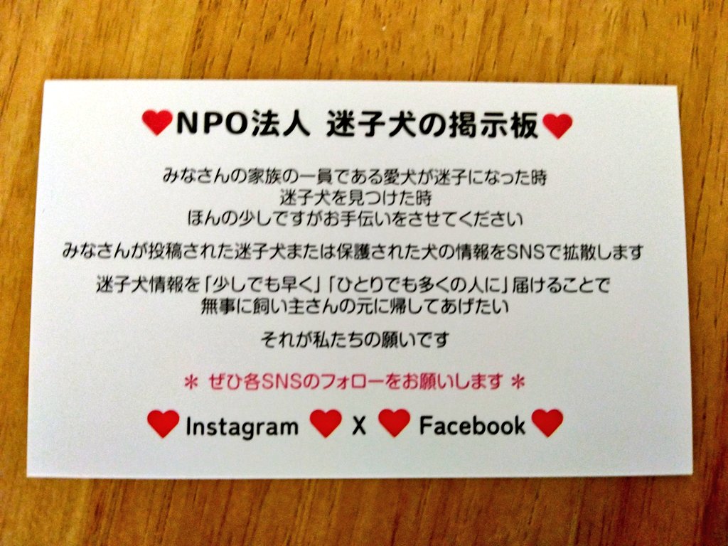 妻は微力ながら、イエローリボンドッグや迷子犬掲示板を広める努力をしております。
私も今年は協力するど🐗💨
#イエローリボンドッグ
#迷子犬の掲示板