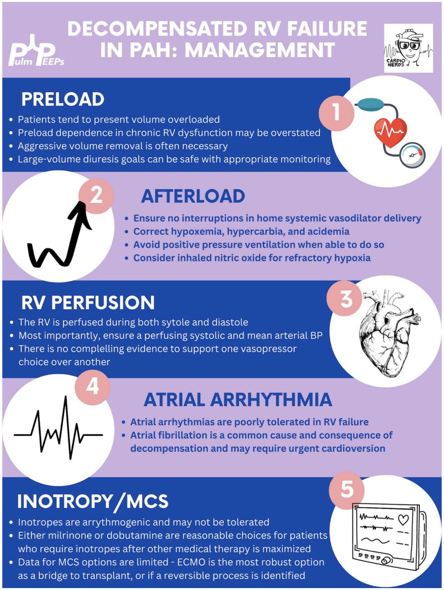 For our Top Episode of 2023, we bring back our @CardioNerds collaboration on the Management of Decompensated RV Failure in PAH 🫁🫀 🔗pulmpeeps.com/2023/06/06/44-…