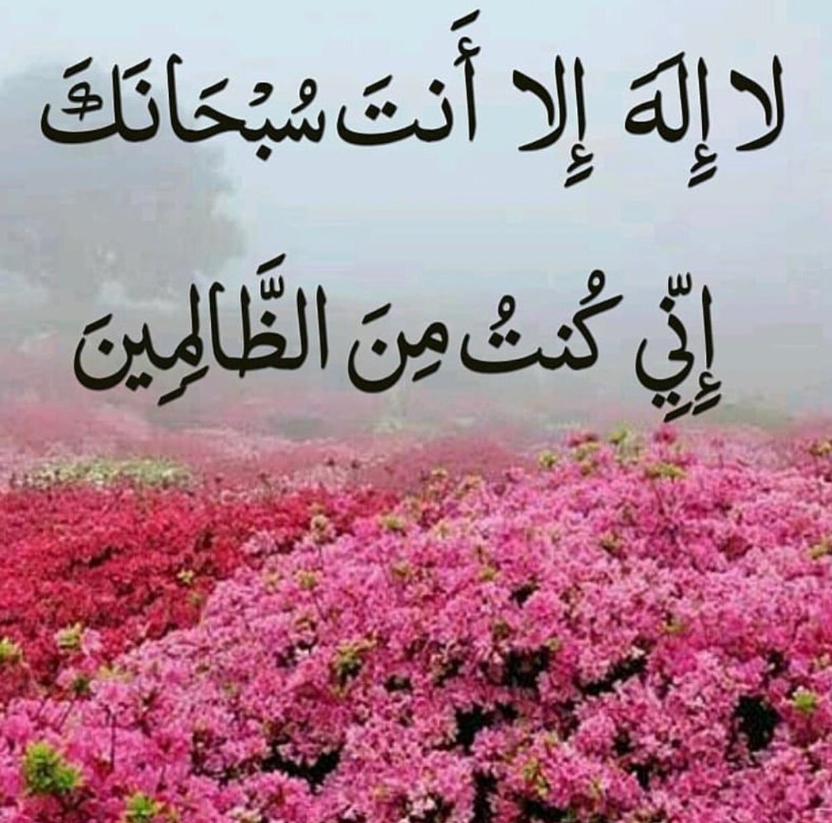 q8almasa1's tweet photo. https://t.co/JhxNZqLnyg