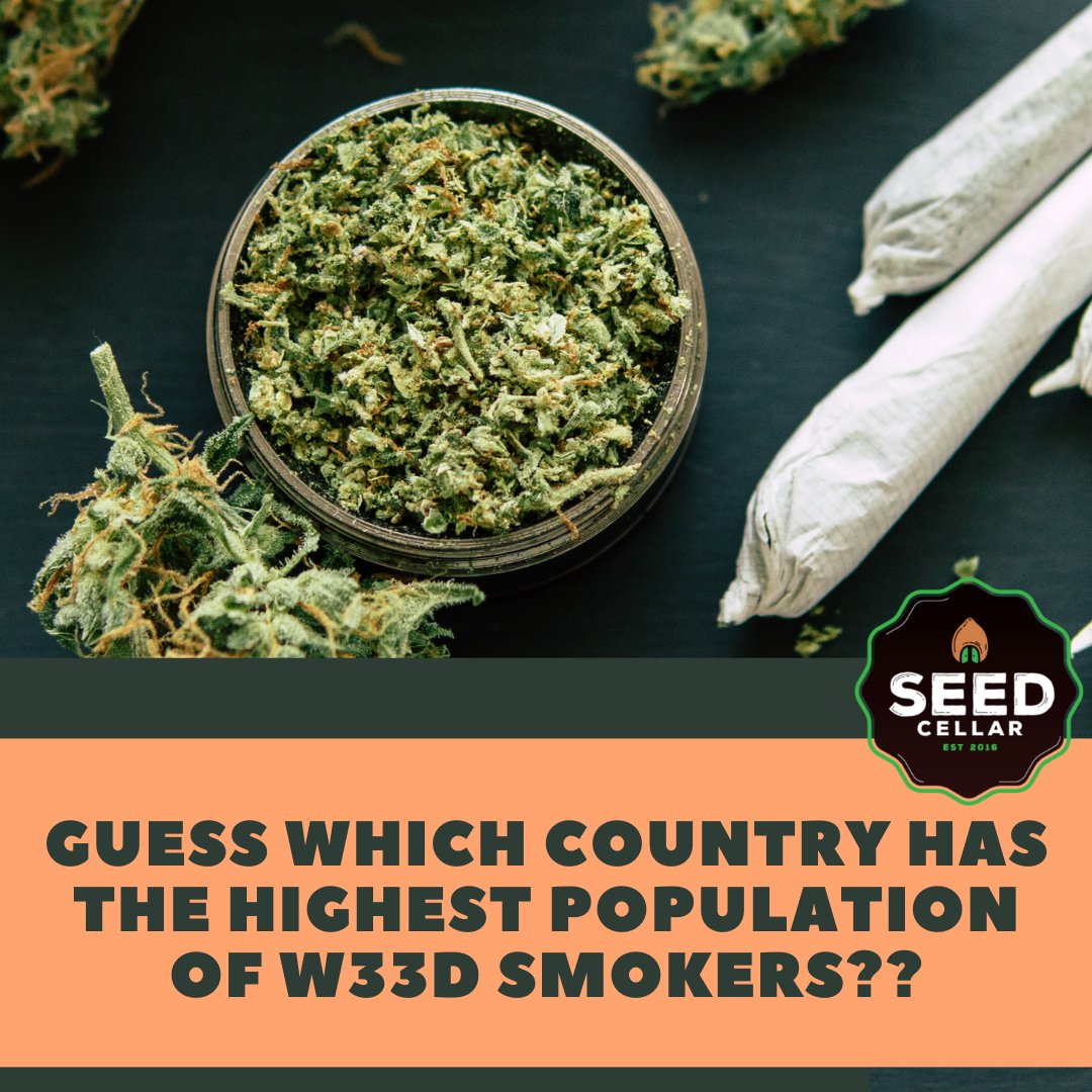 What country has the most p0t sm0k3rs in the world? This may come as a shock! 
rpb.li/Ox5

#SeedCellar
#growyourown
#howtogrow
#cannabisseeds