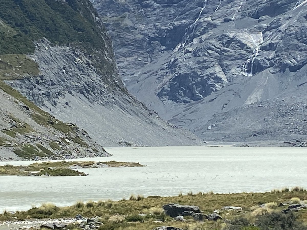 Coach Cupcake tweet media